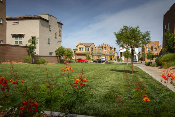 cadence neighborhood with yard between homes