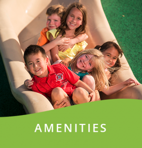 Click to learn about the amenities in Cadence